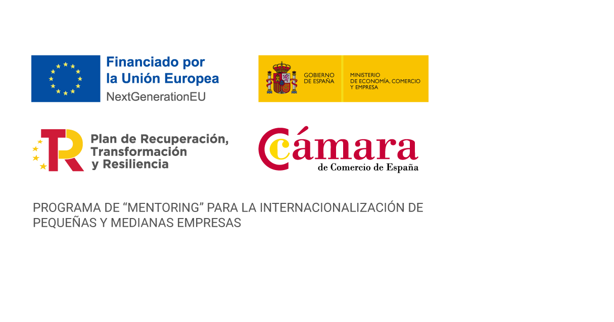 Programa de "Mentoring" para la internacionalización de pequeñas y medianas empresas